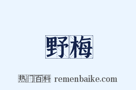 野梅是什么意思的图片